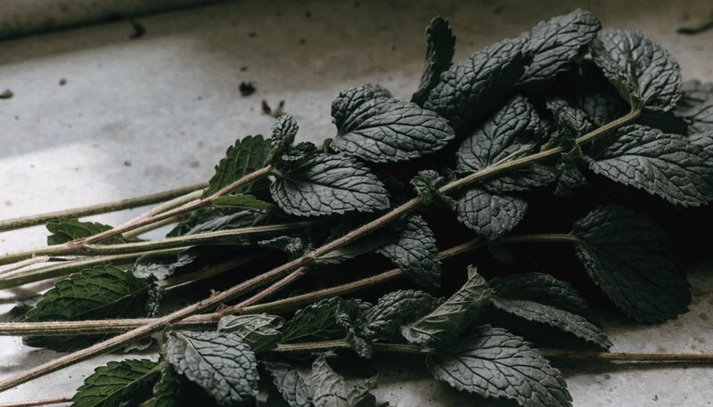 Freshly cut peppermint stems piled on a plain work surface.