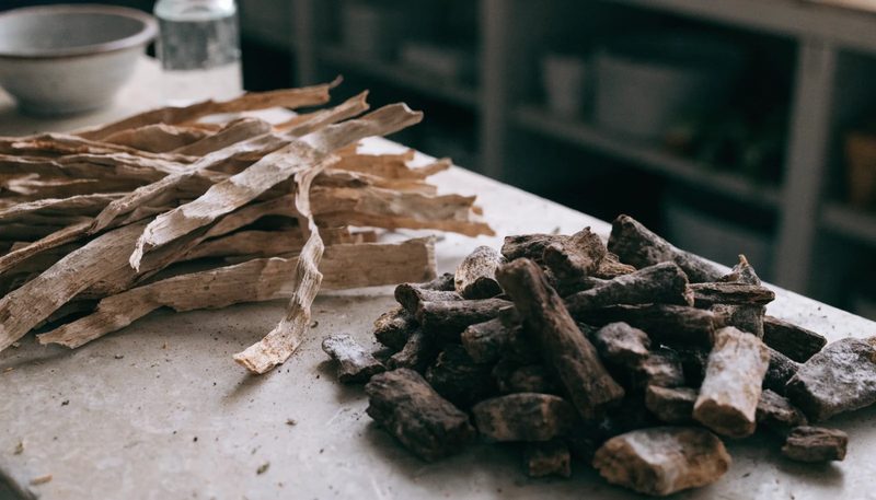 Dried quillaja bark strips and soapwort root on a plain bench.