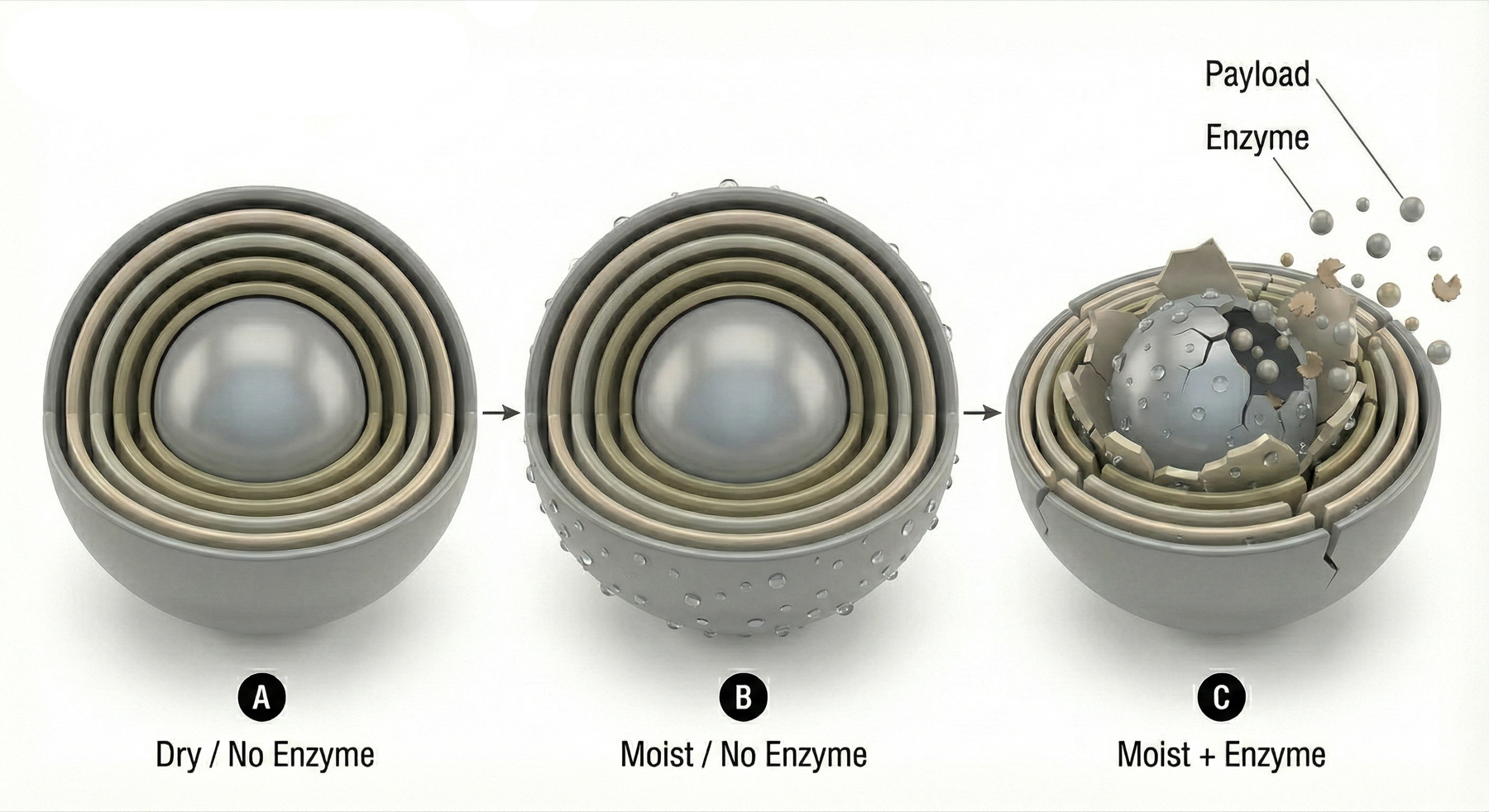 Logic-gated nano-encapsulation release diagram