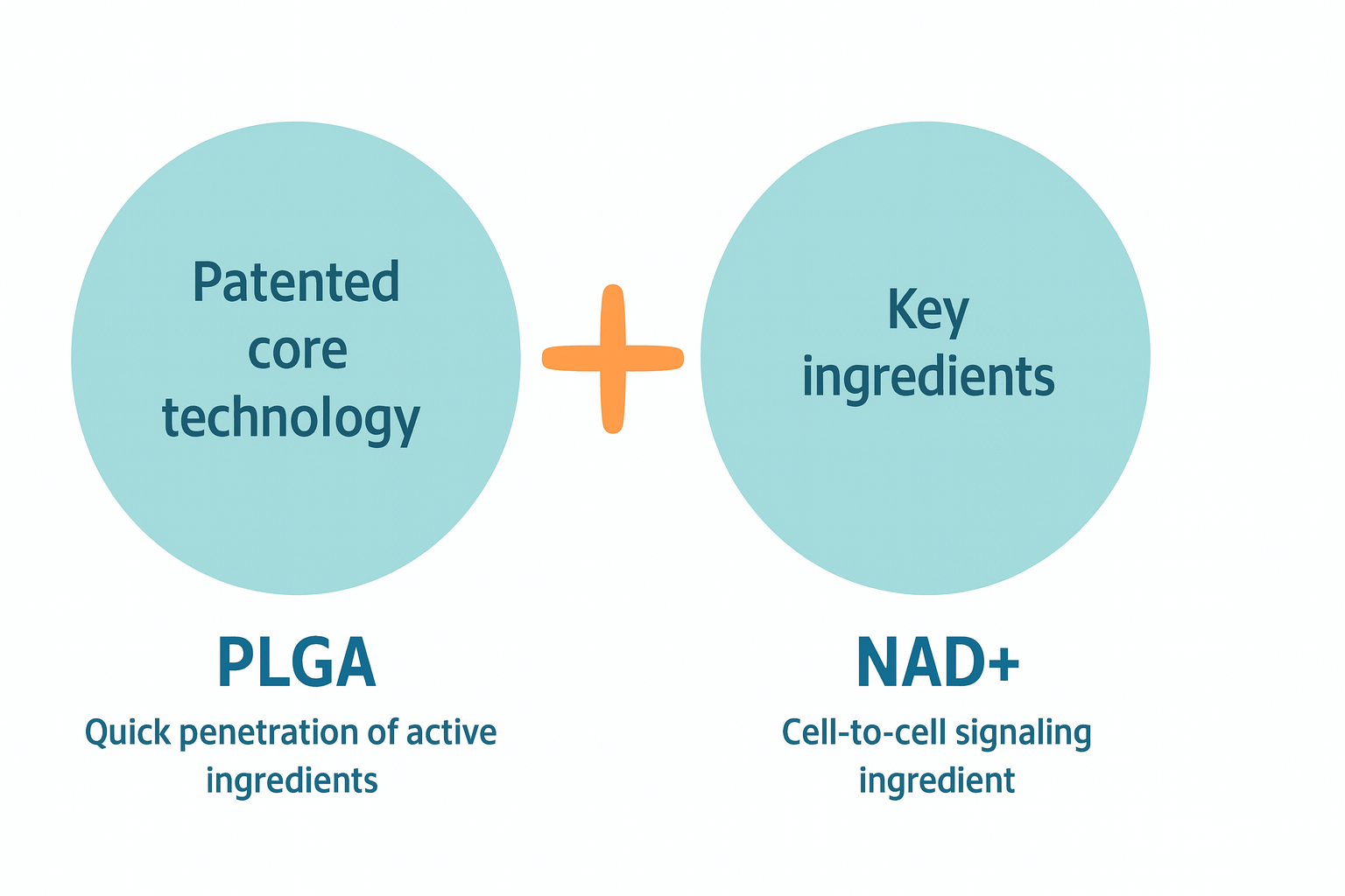 PLGA vs NAD+ nano-encapsulation comparison