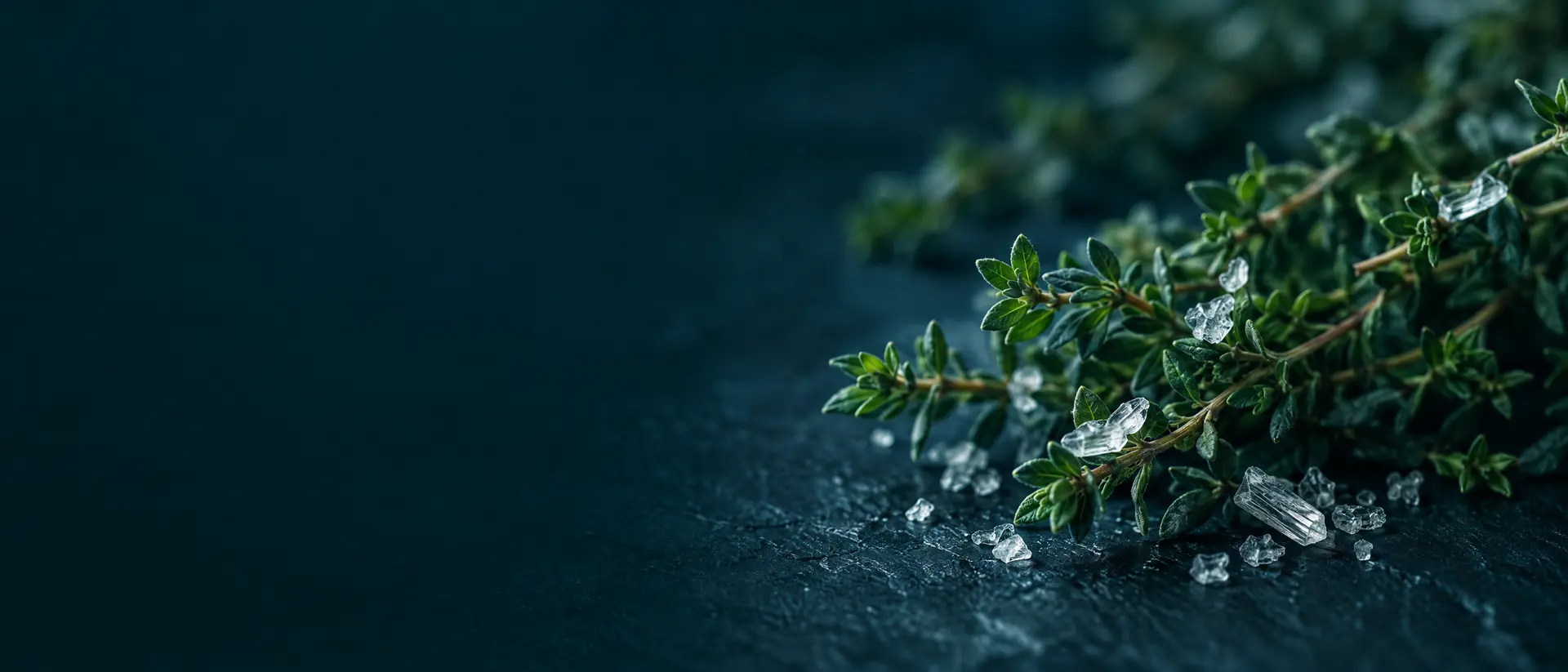 Thyme sprigs with clear crystals on dark slate