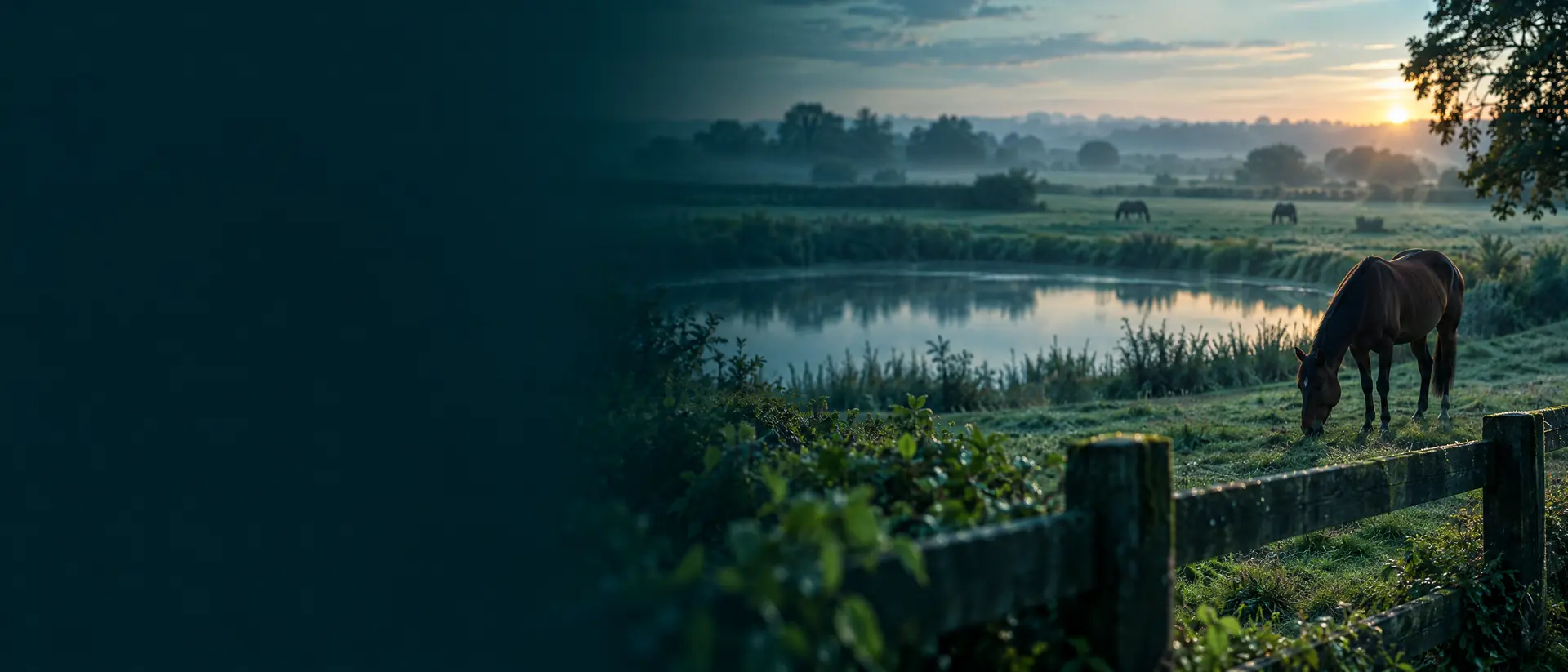 Farmyard at dawn with a pond, hedgerow and distant grazing horses