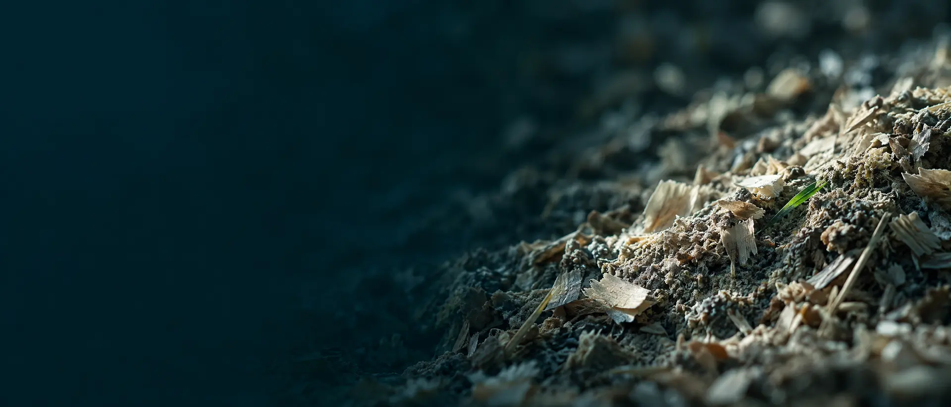 Dry broiler litter surface of wood shavings in raking light
