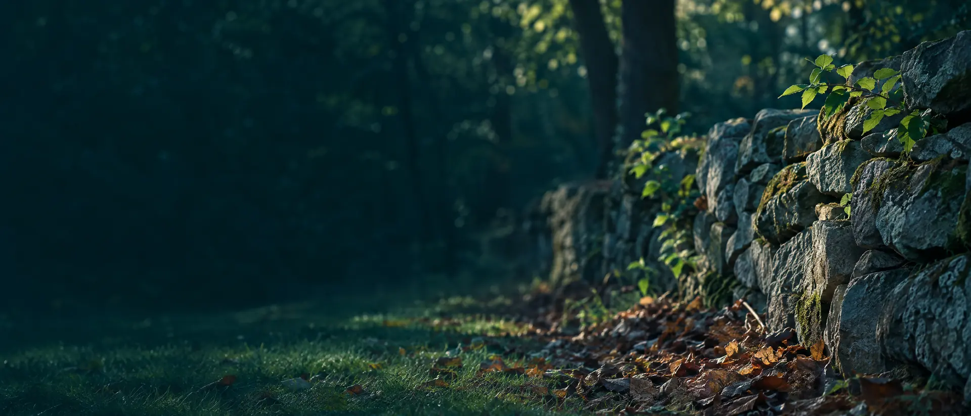 Stone wall and leaf litter at the border between a lawn and woods