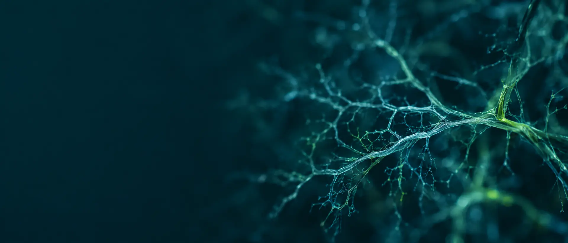 Fine branching capillary network glowing faint teal in darkness