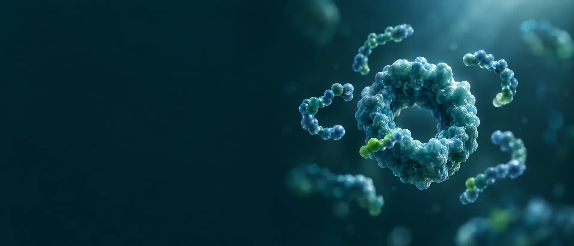 Short bead-chain peptides orbiting a single ring-shaped receptor form