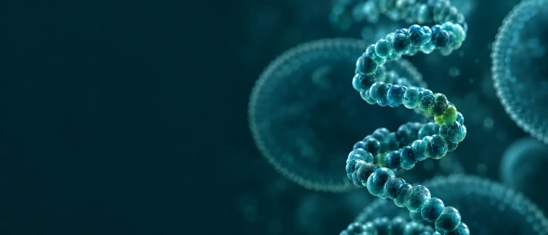 Helical bead-chain peptide spiraling in teal with faint circular membrane shapes behind