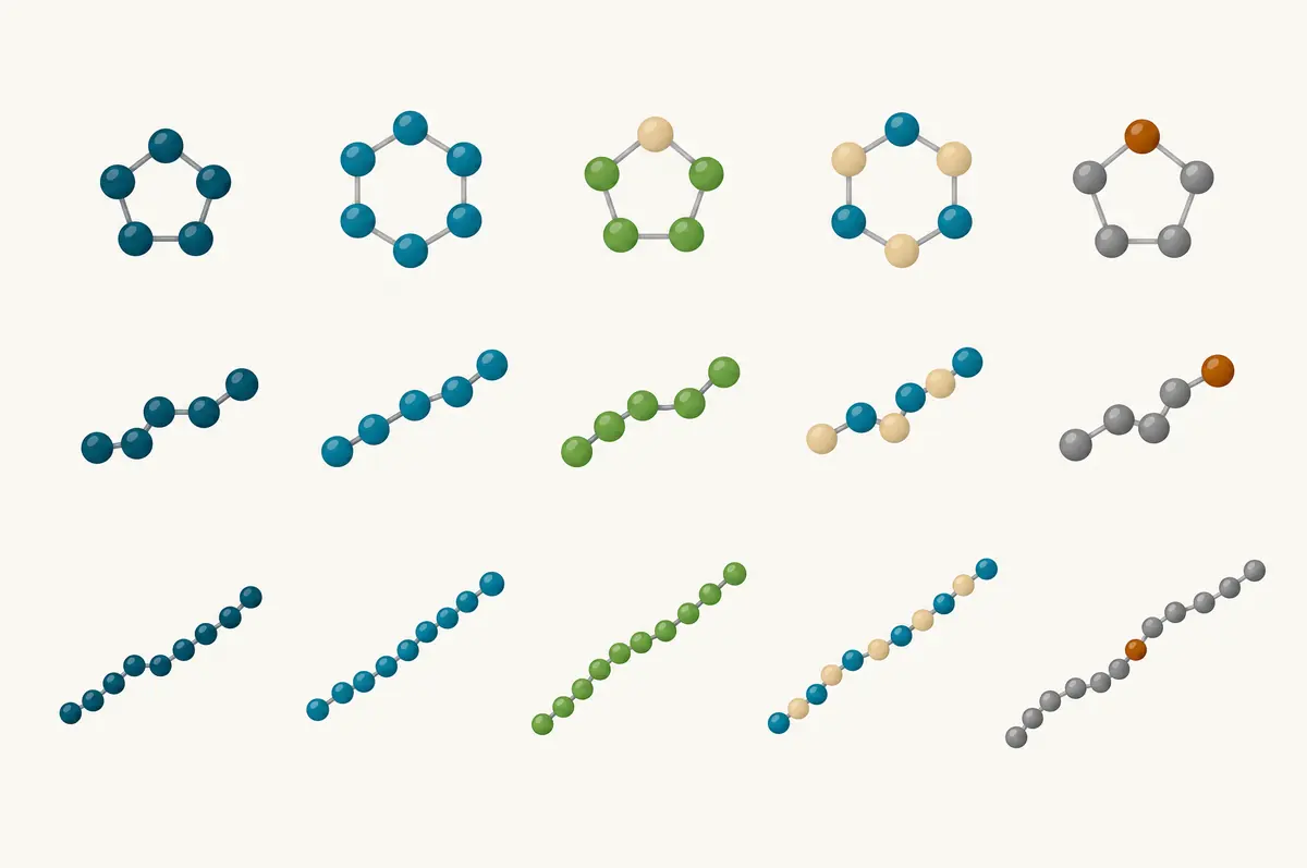 Grid of ring molecules and bead chains of increasing length in three rows