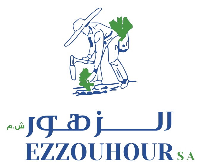 Ezzouhour