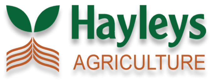 Hayleys