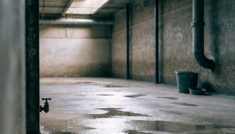 The interior of a clean empty livestock house after washdown.