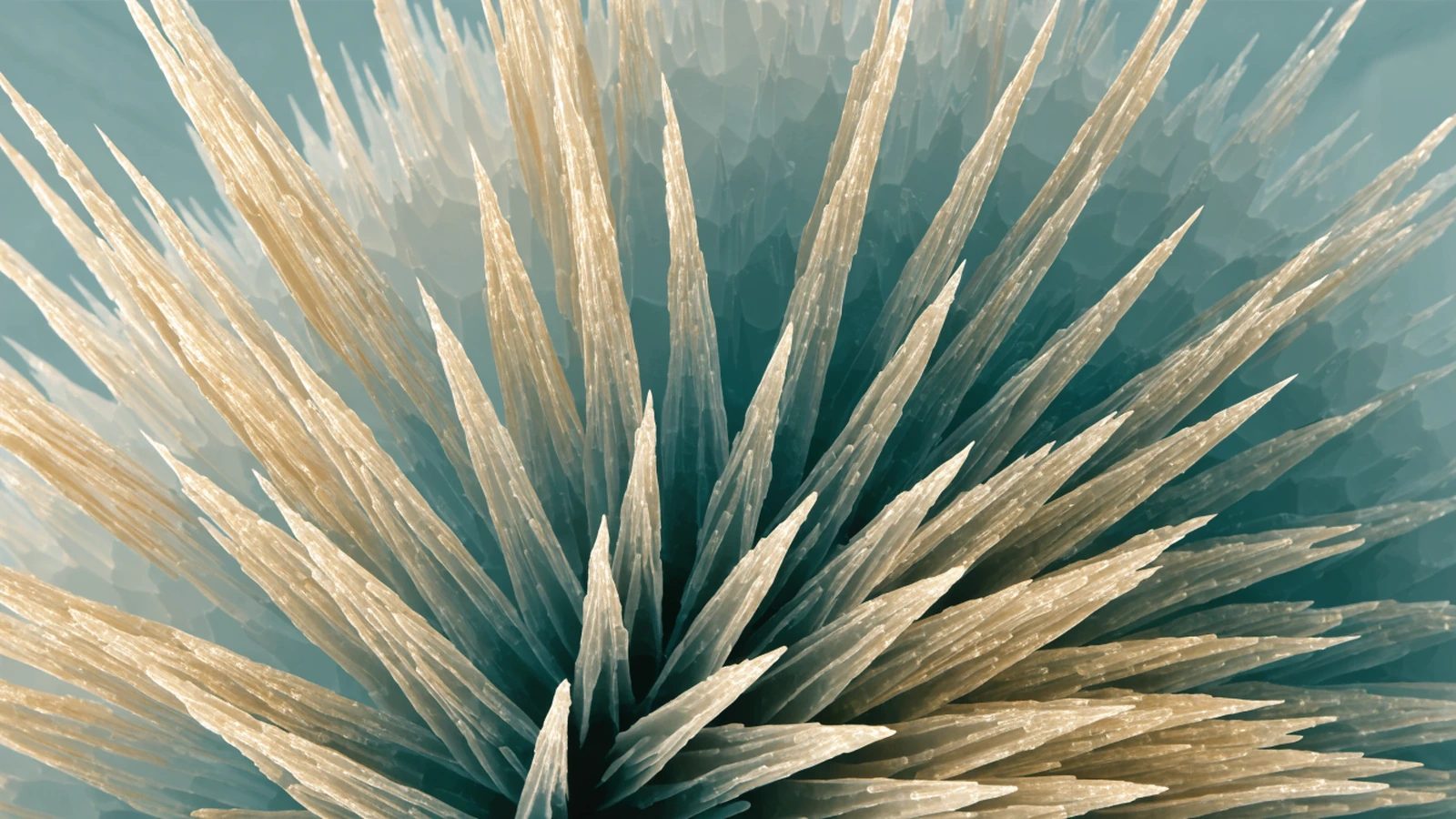 A decorative microscopic-texture image showing a rosette of fine needle-like crystals.