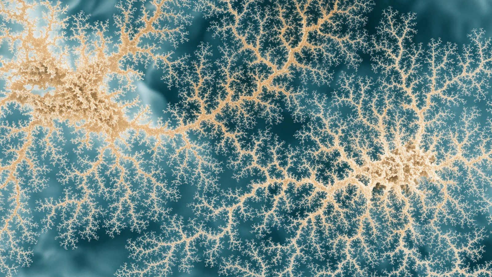 A decorative microscopic-texture image showing a fine branching dendritic network.