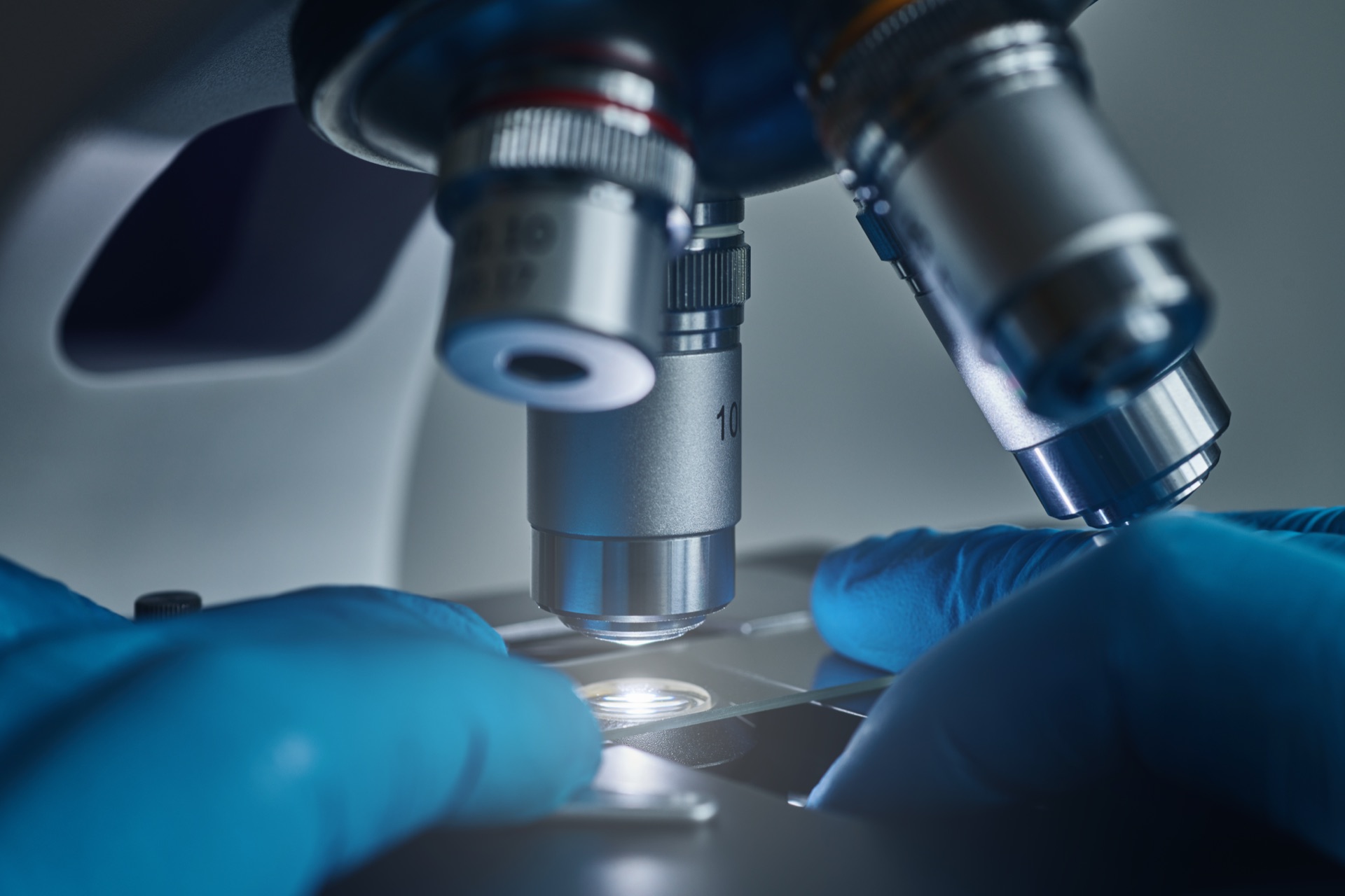 Vegalab scientist at work