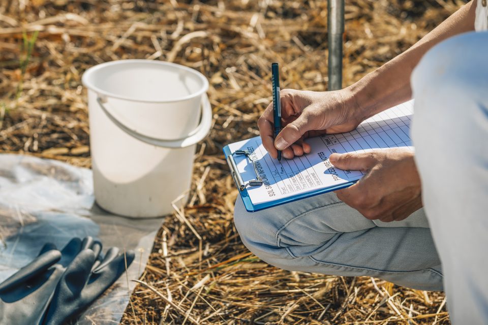 Agronomist examining soil