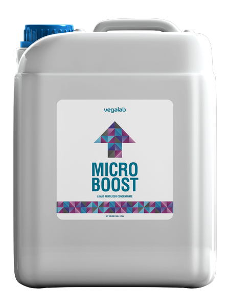 Micro Boost