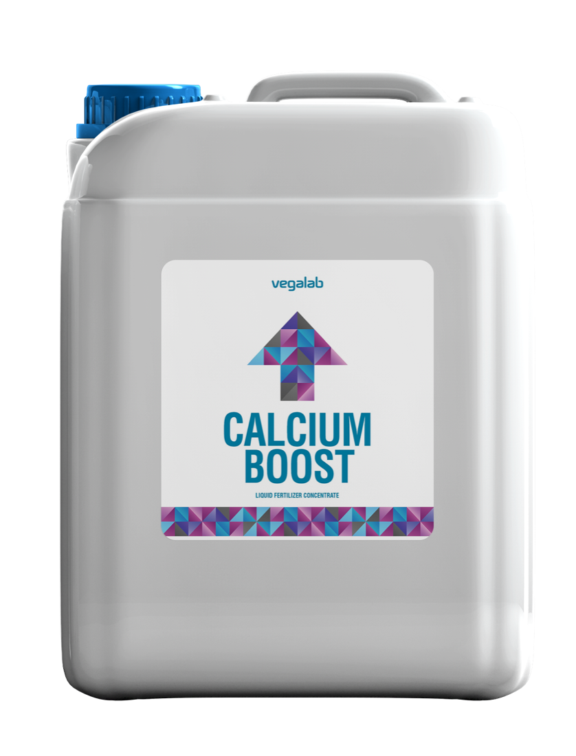 Calcium Boost
