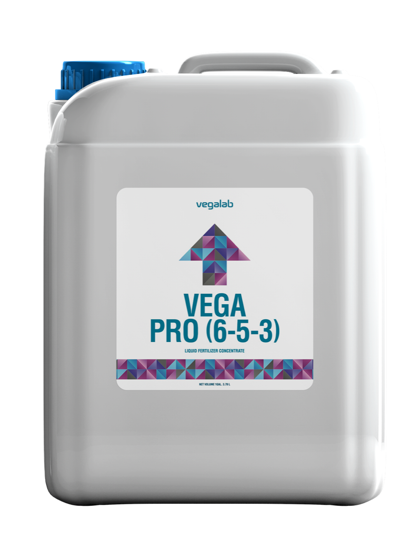 Vega Pro