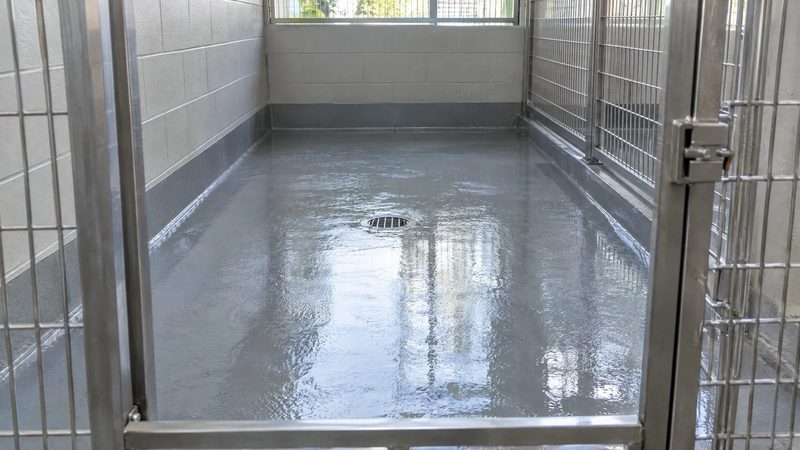 Empty kennel run with a wet, glossy gray sealed floor, stainless steel gate and a central floor drain.